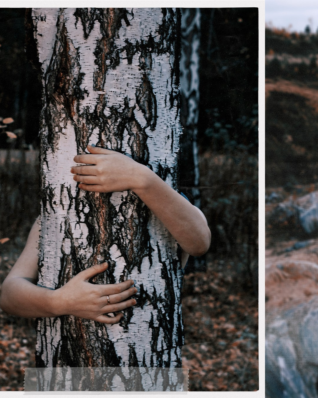 Сумерки Эльфа. 