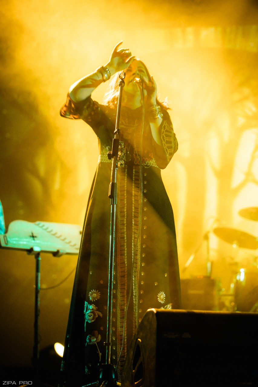 Концерт гр. «Theodor Bastard». Фотограф Zipa Pro