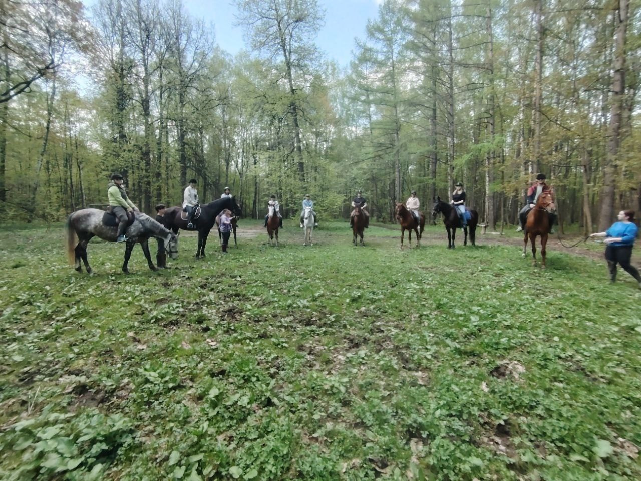 Лошадинг | 30.03.2024. Галерея Фантим