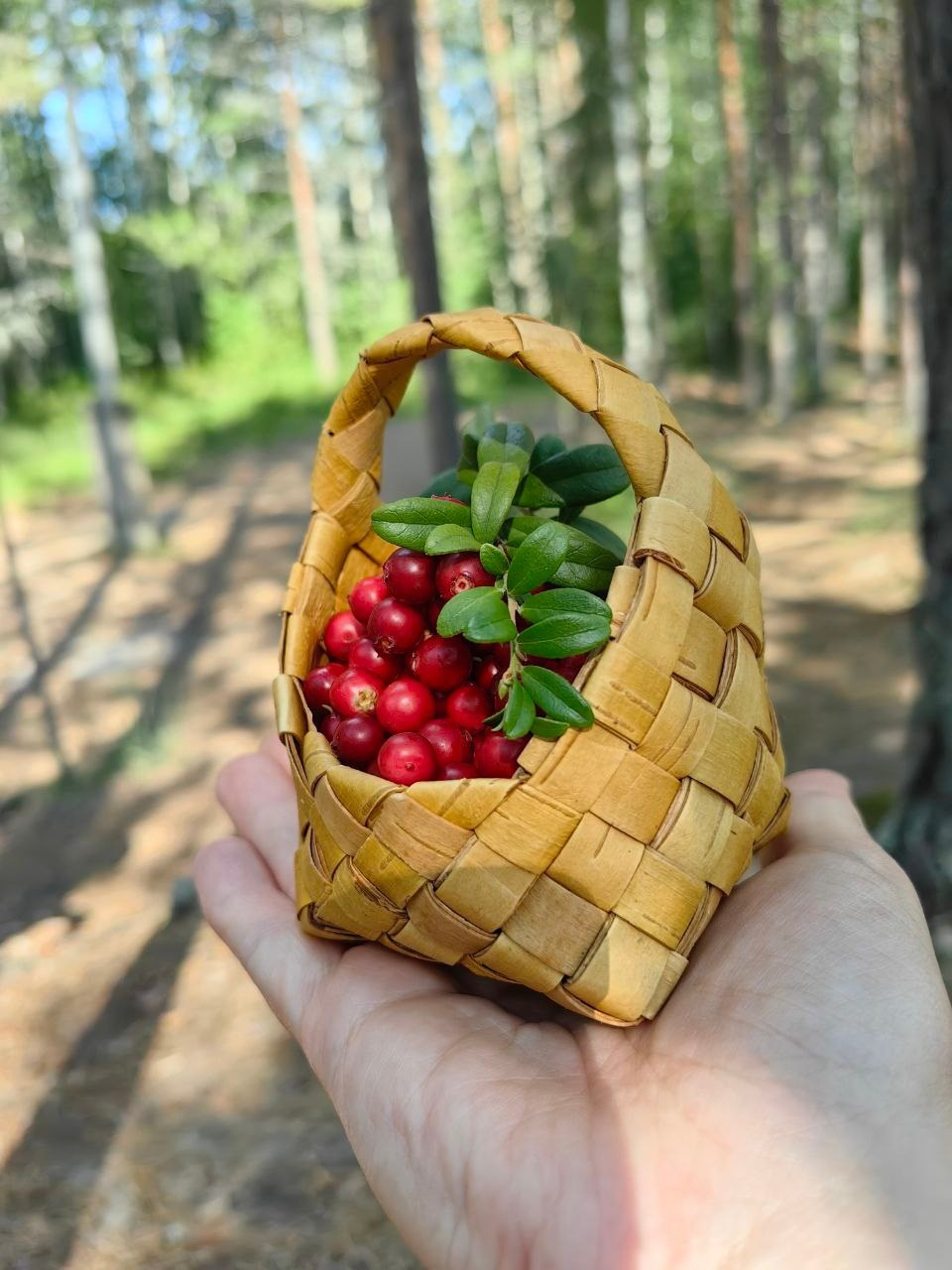 Карелия | 16-18.08.24. Галерея Фантим