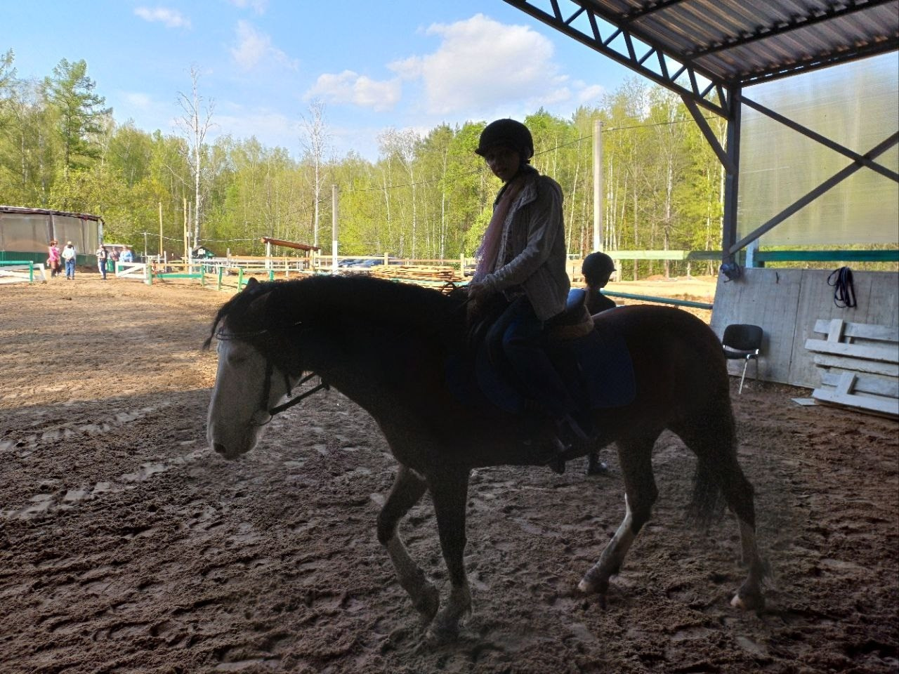 Лошадинг | 30.03.2024. Галерея Фантим