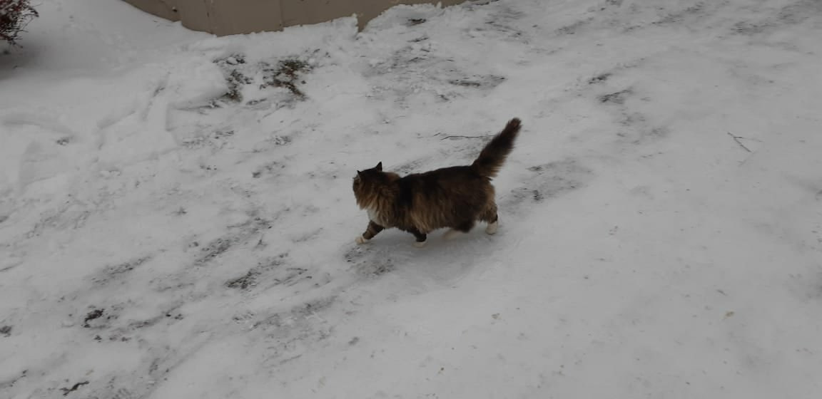 Иваново и Плёс | 21-22.11.2020. Галерея Фантим