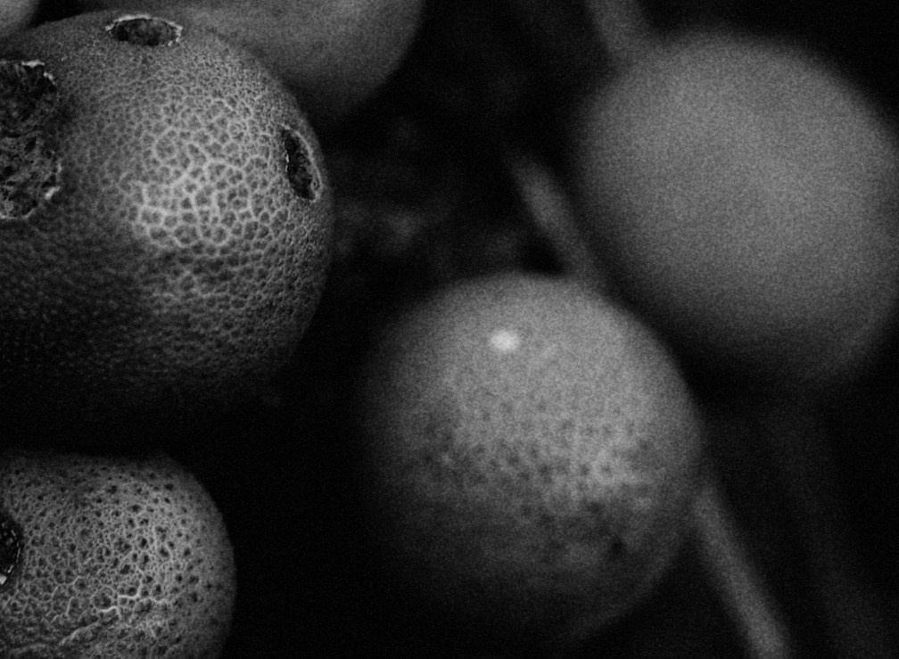 Fine Art. Photographer