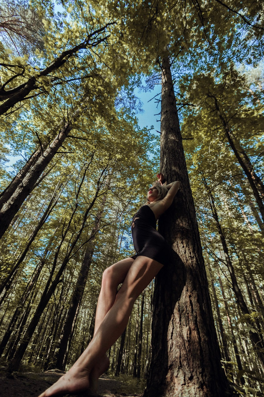 Jungle. Самид Али, фотограф из Санкт-Петербурга, Россия