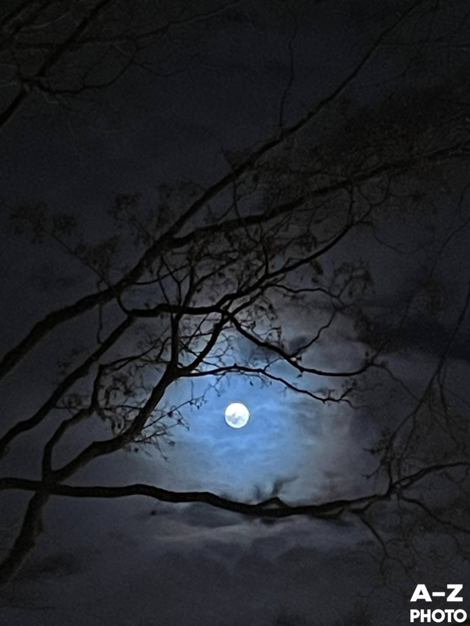 #ФОТОНЕДЕЛИ 08.12.2025. Женский семейный фотограф Тула Москва Захарова Анна