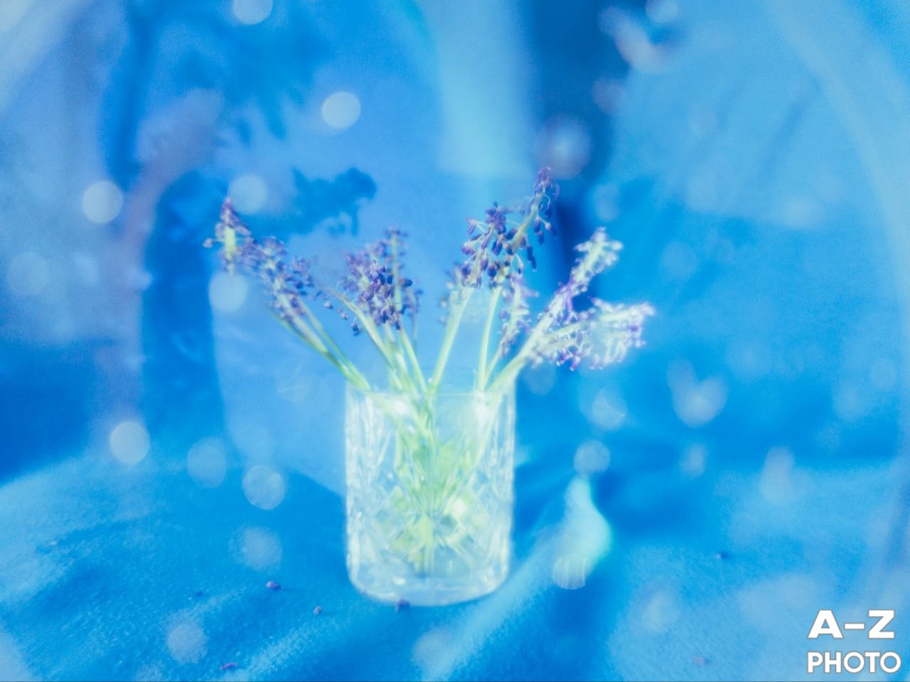 #ФОТОНЕДЕЛИ 20.04.2026. Женский семейный фотограф Тула Москва Захарова Анна