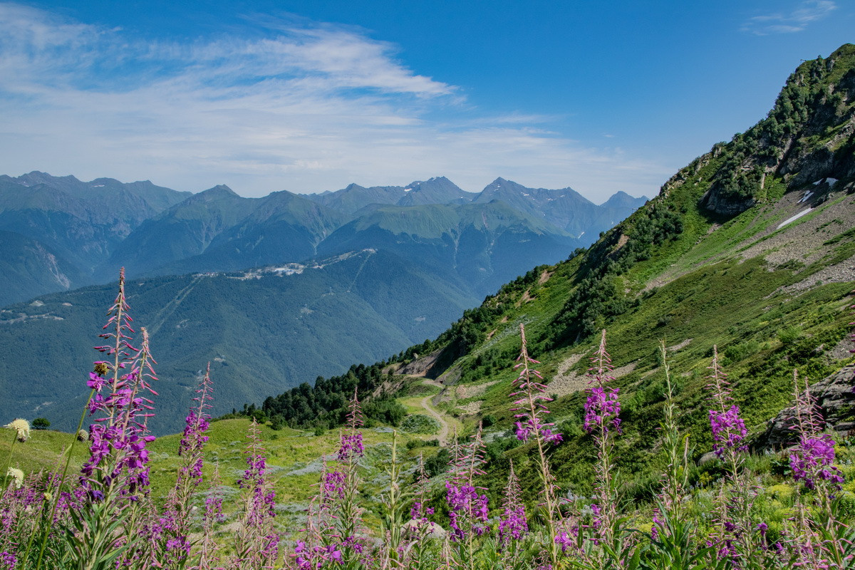 Итоги Soft Photo Award`22. Фотошкола Кемерово