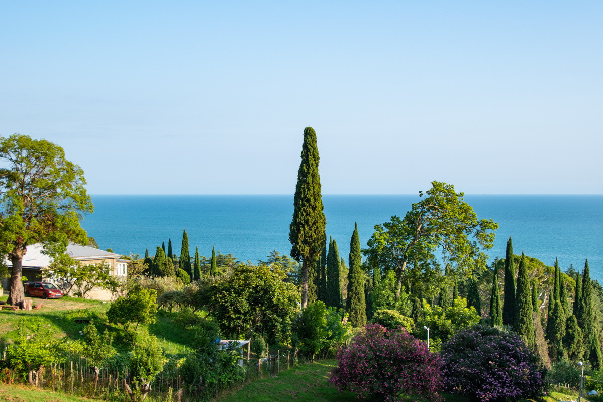 Итоги Soft Photo Award`22. Фотошкола Кемерово