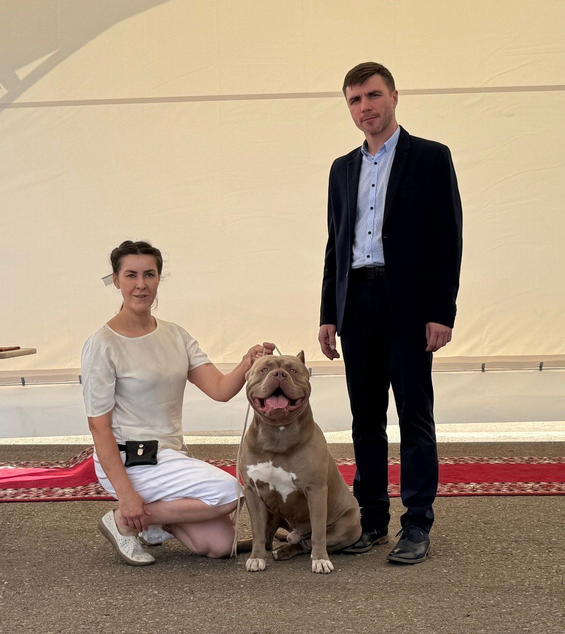 Участие в выставках. Американские булли XL в г. Калининград. Питомник Great Bully UNIVERSE