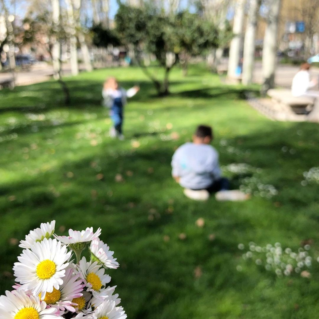 Anka`s Instagram. Заставка