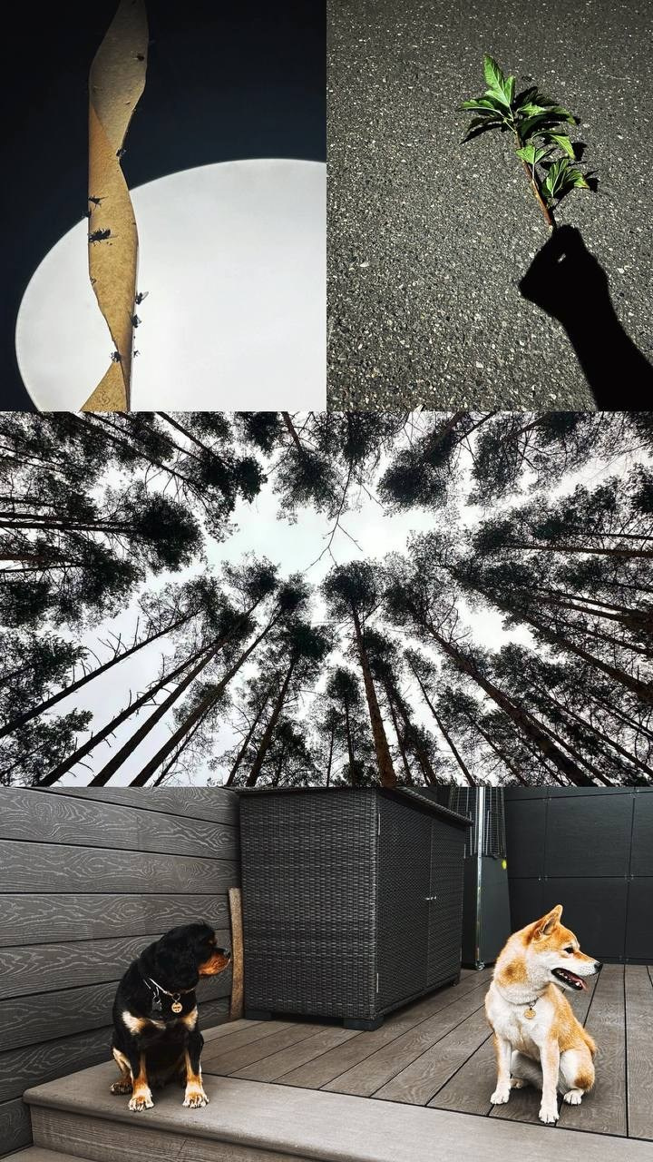 КУРС ПО ФОТО/ВИДЕО СЪЕМКЕ «СЧАСТЬЕ В ПРОСТОМ». Фотография. Визуально-чувственный мир души