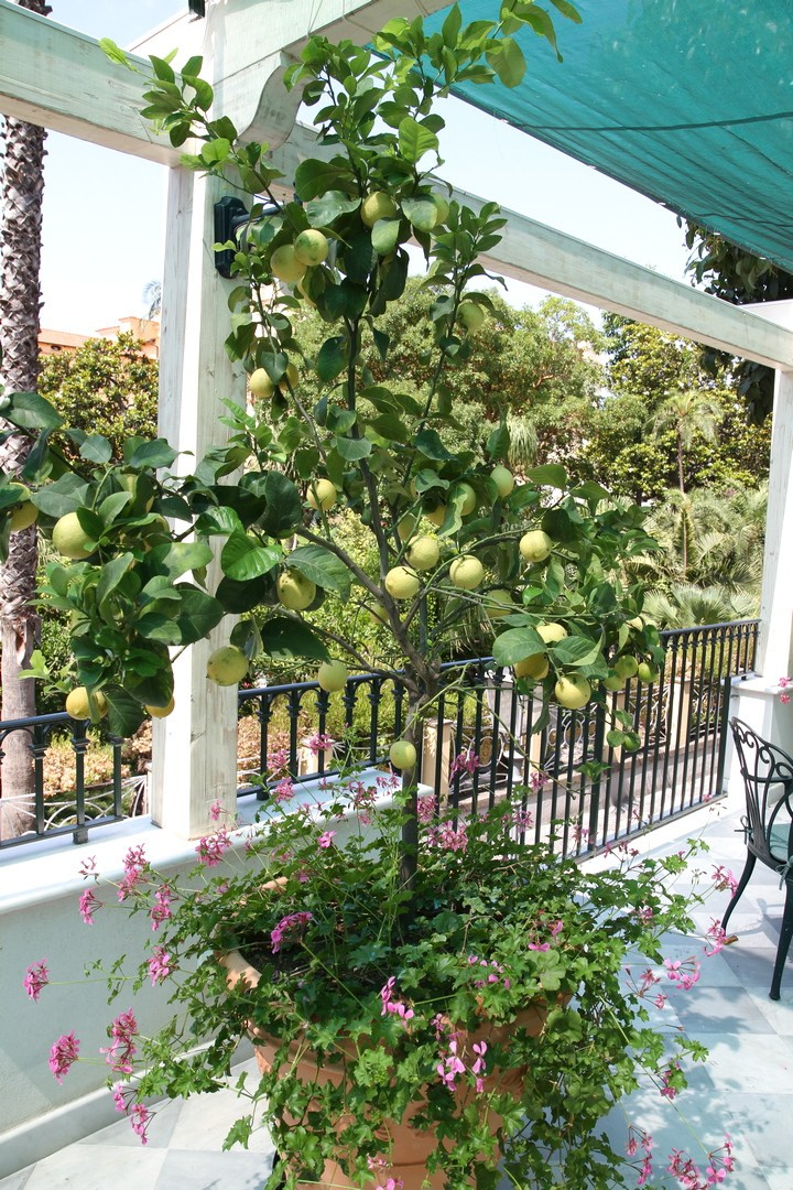 Италия. Сорренто 2011. Улица, люди, жизнь…