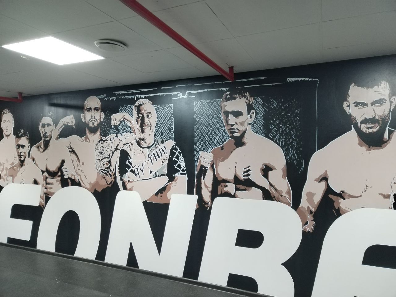 Художественная роспись интерьров. Художественная роспись стен и фасадов в Минске и Беларуси