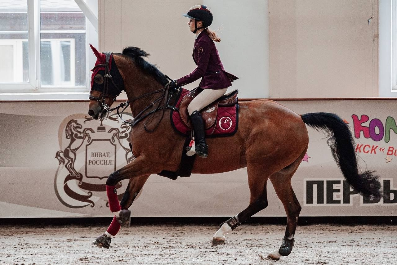 ПЕРВЕНСТВО МОСКВЫ ПО КОНКУРУ в КСК «ВИВАТ, РОССИЯ!». Куракина Дарья • Конный фотограф