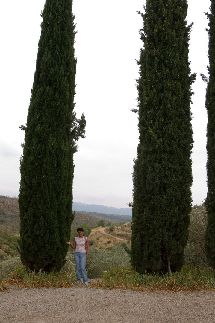 Круиз 2006 г. Улица, люди, жизнь…