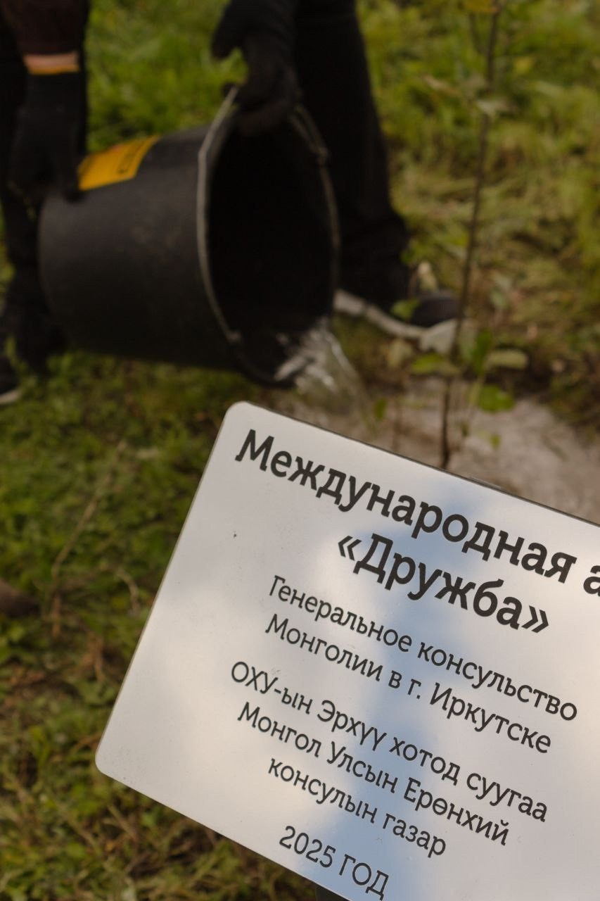 Международный лесоклиматический форум «Экосистема Байкала — 2025» / Подари Планете Жизнь / 5 дней. Борщевская Елизавета / фотограф Иркутск