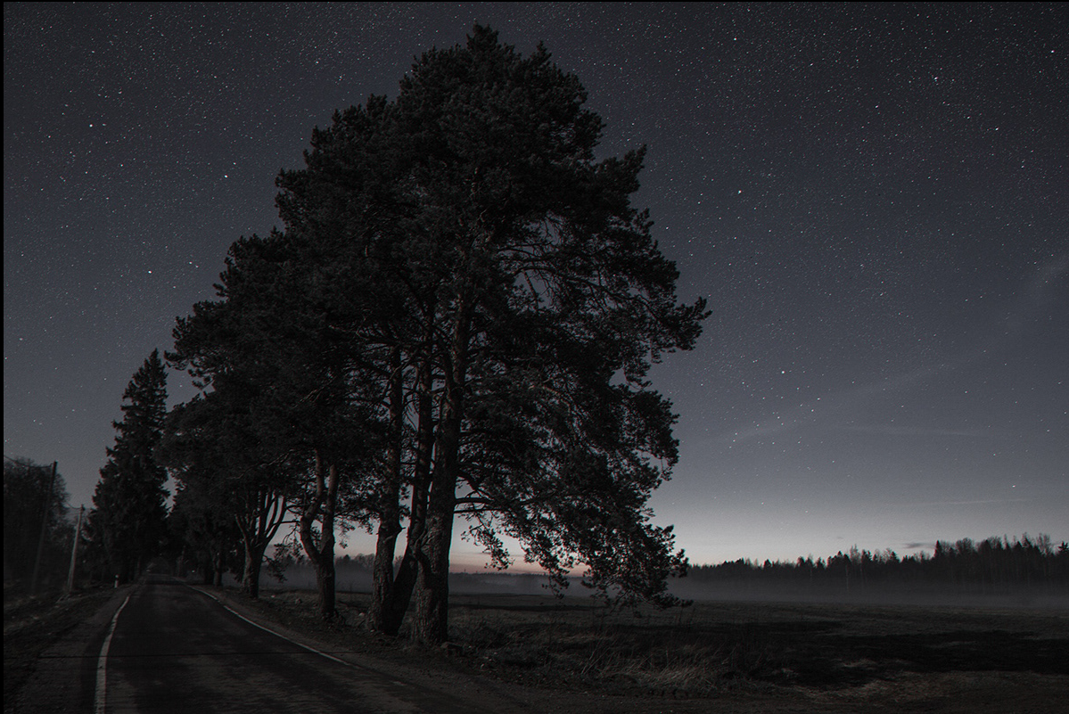 XfVillage. Фотограф Cyberkyrie