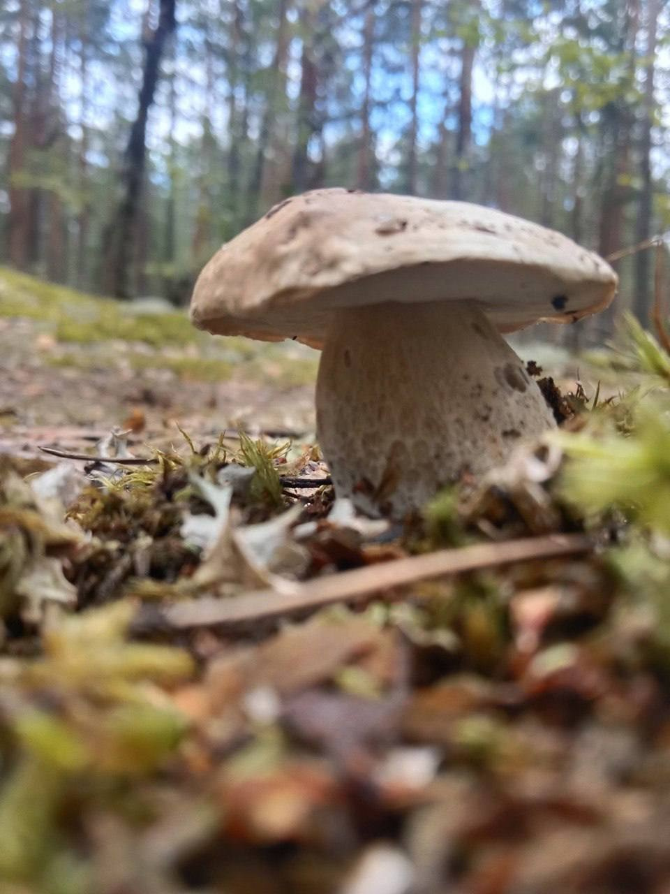 Территория. Добро пожаловать в Кемпинг — уникальное место для отдыха на лоне природы!