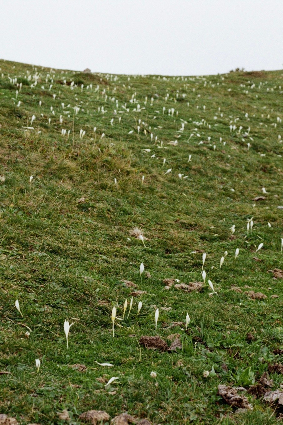 Семейный и ивент фотограф в Москве Мария Маликова