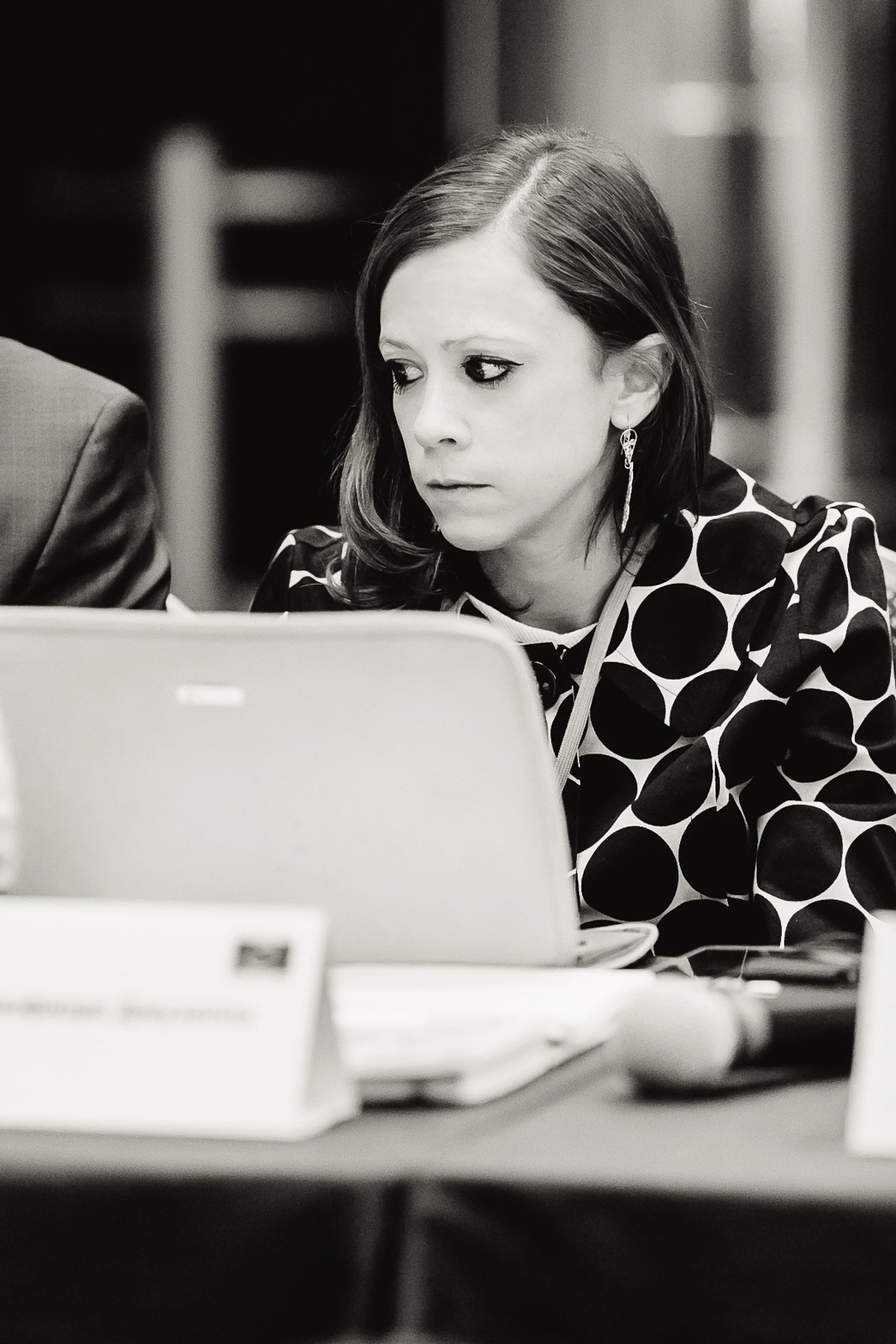 Бизнес-семинар Don-Plaza. Свадебное фото и видео в Ростове-на-Дону, Краснодаре, Москве и Крыму