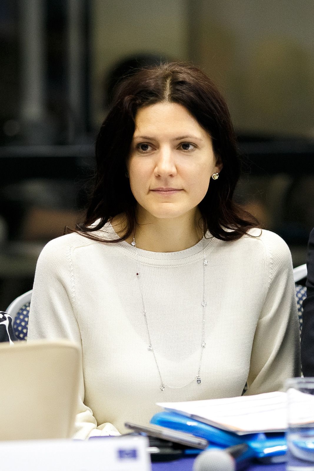 Бизнес-семинар Don-Plaza. Свадебное фото и видео в Ростове-на-Дону, Краснодаре, Москве и Крыму