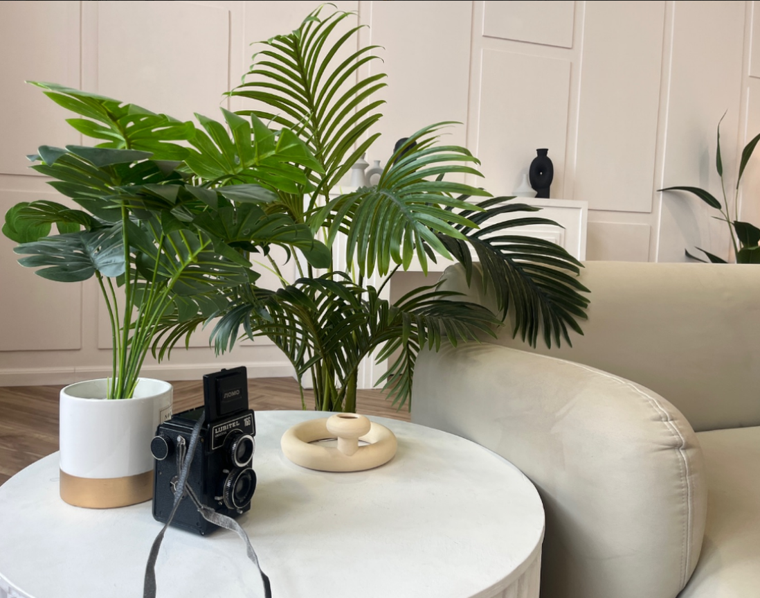 Белый (студия Ван Рум). Фотограф г. Хабаровск. Семейные и индивидуальные съёмки