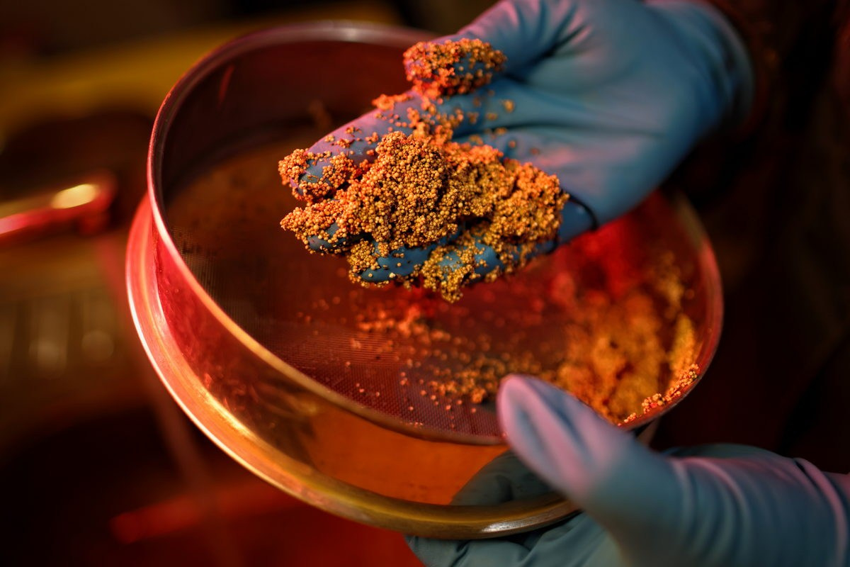 Poluys. Павел Маркелов, фотограф