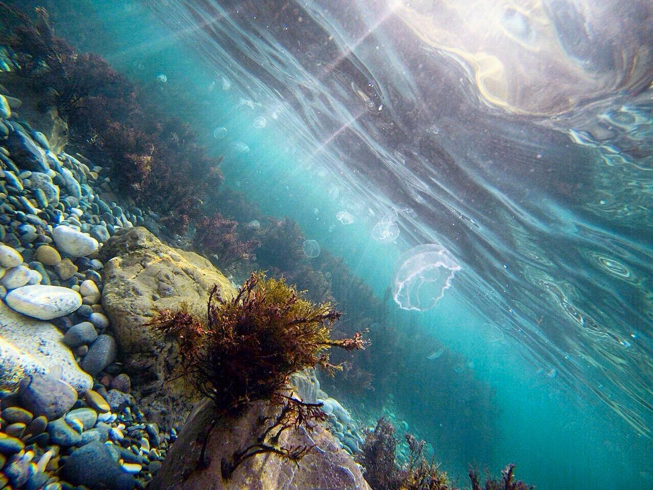 Экспедиции. Портретный арт и репортажный фотограф в Нячанге Ульяхина Полина
