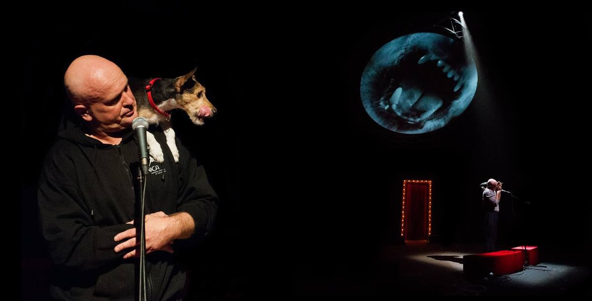 360 градусов. Фотограф Алиса Калинина