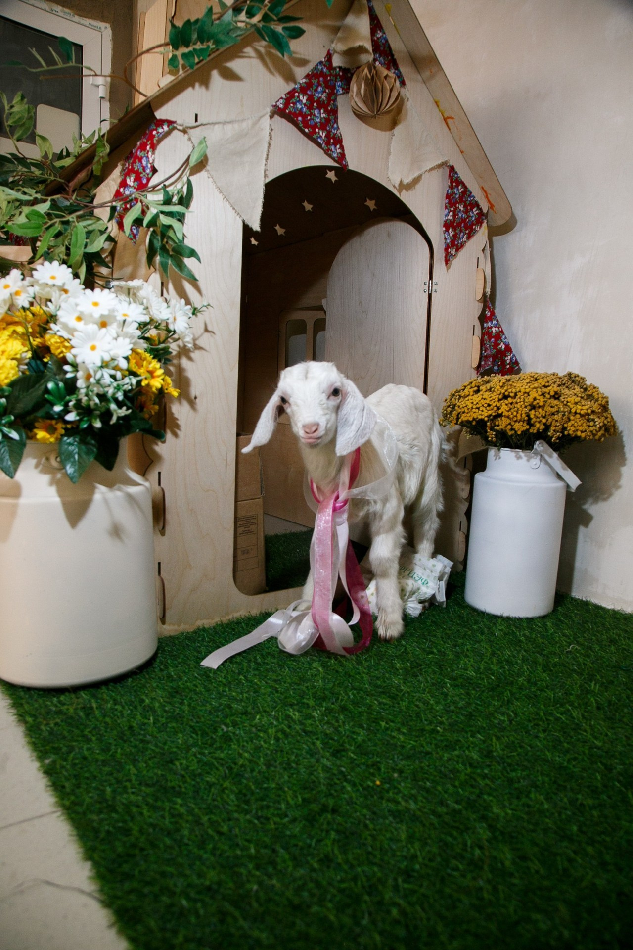 Отзывы. Свадебный и семейный фотограф в Ростове-на-Дону Кирилл Дементьев