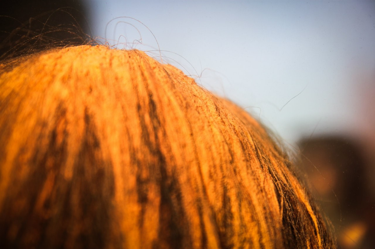 Репортажная фотосъемка. Профессиональный фотограф Иркутск — Максим Лядов