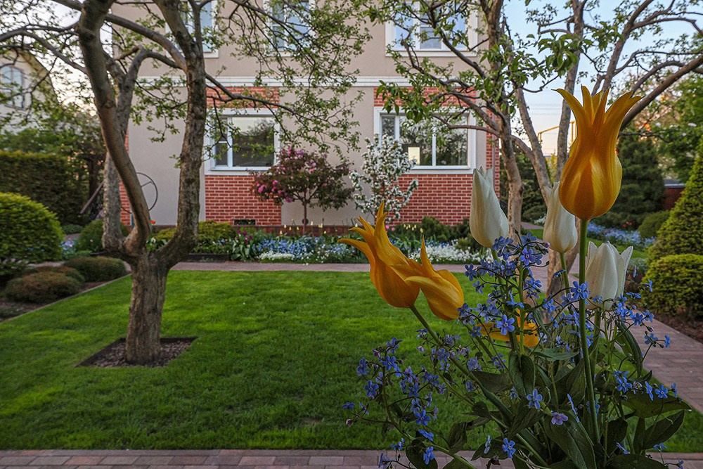 Сады. Ландшафтный фотограф Андрей Лысиков, Москва