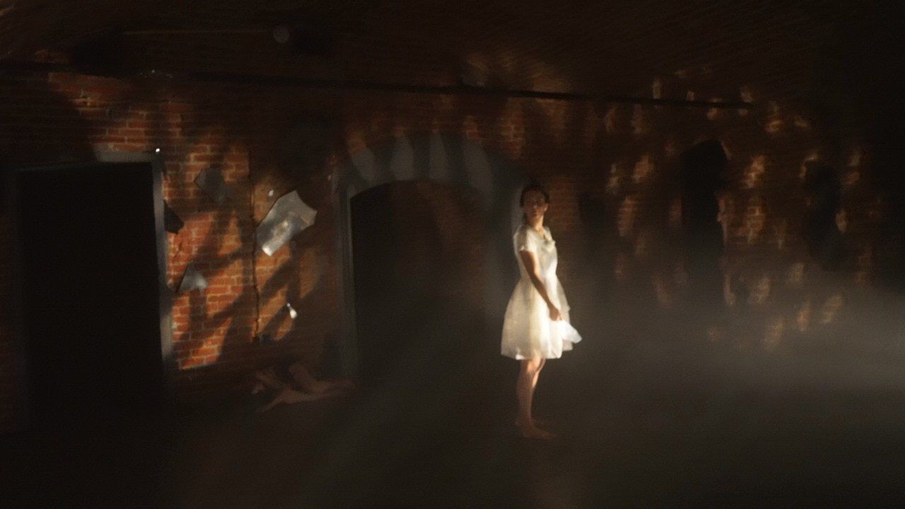 Красное дерево. Фото / Видеосъемка в Москве