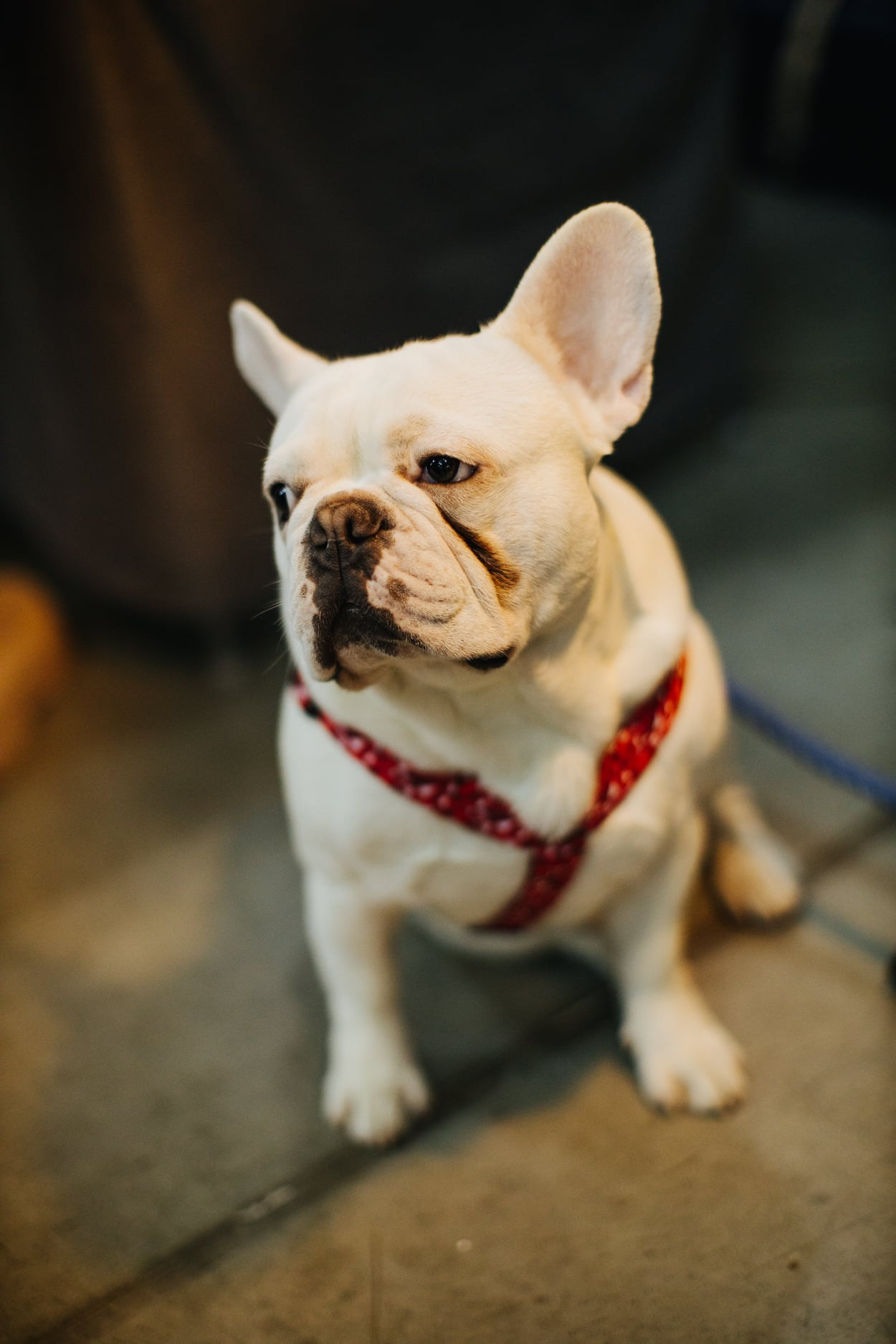 20–21 ноября 2021 на Трёхгорной мануфактуре / фото Валерий Белобеев. Фотоотчеты «Ламбада-маркета»