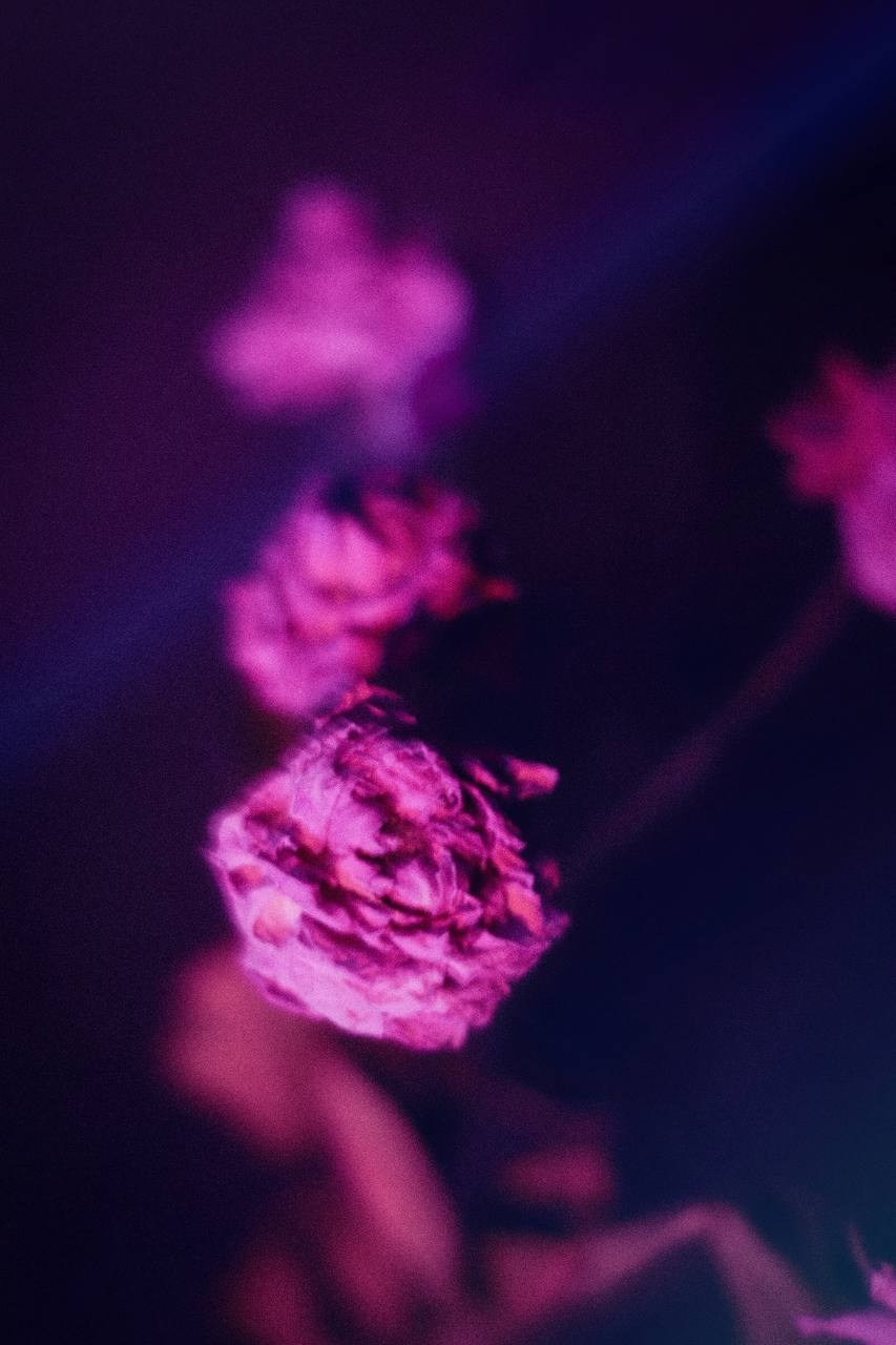 Love and lifestyle (любовь и детали). Фотограф в Иркутске Арина Штыбова
