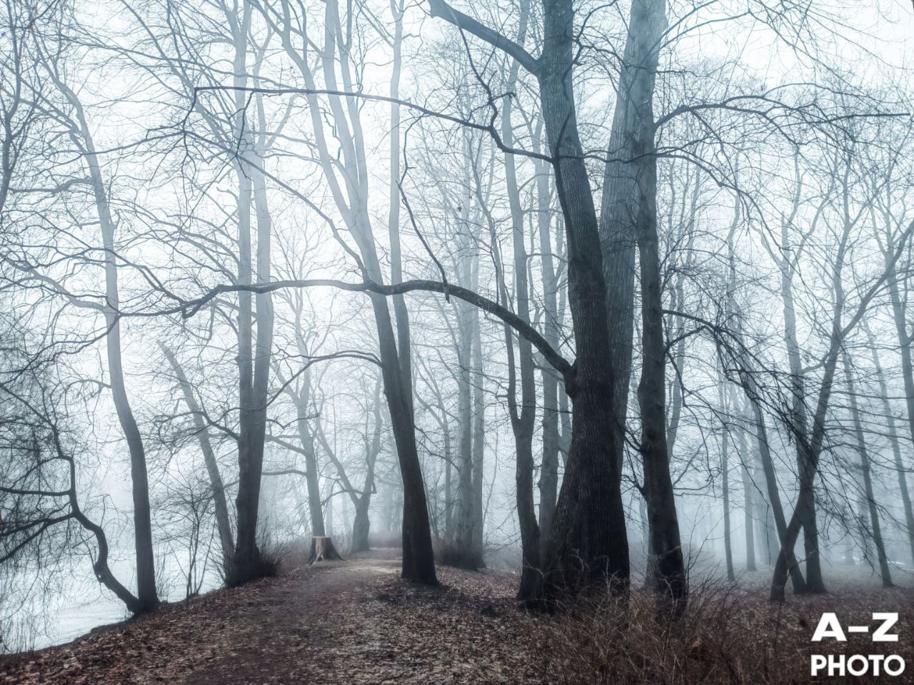 #ФОТОНЕДЕЛИ 23.03.2026. Женский семейный фотограф Тула Москва Захарова Анна