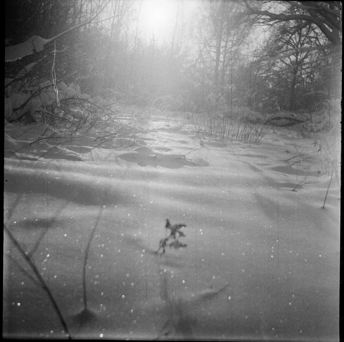 Объявления тфп. ТФП-фотограф Саша Ханина | Москва