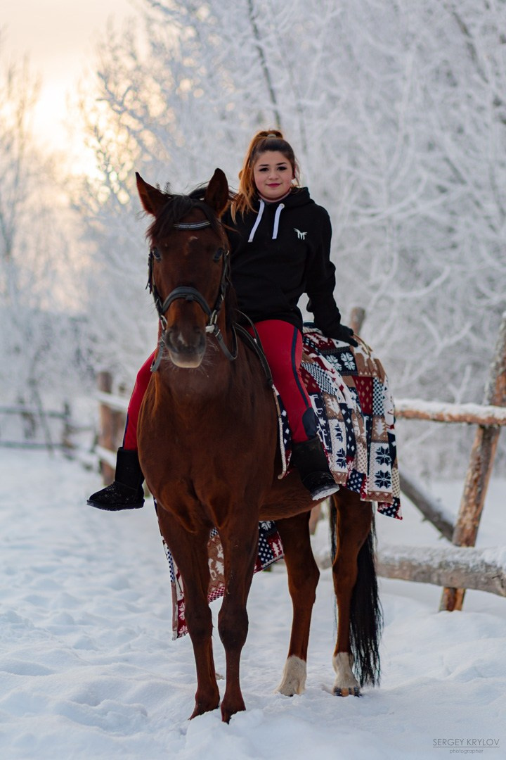 Зимние фотографии с лошадьми