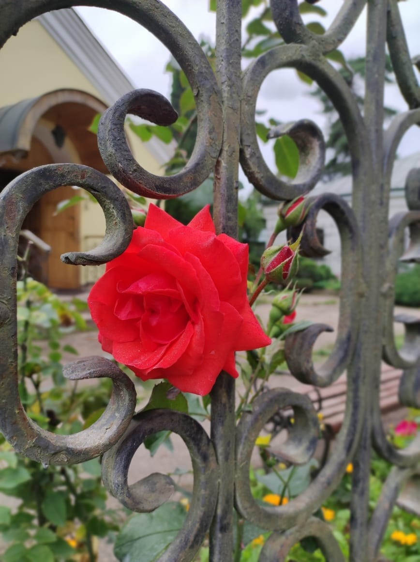 Звенигород | 29.06.2023. Галерея Фантим