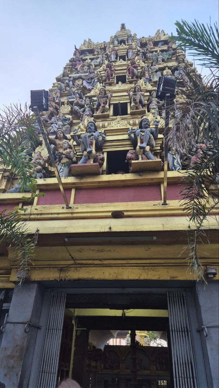 Шри-Ланка | 31.01 — 10.02.2025. Галерея Фантим