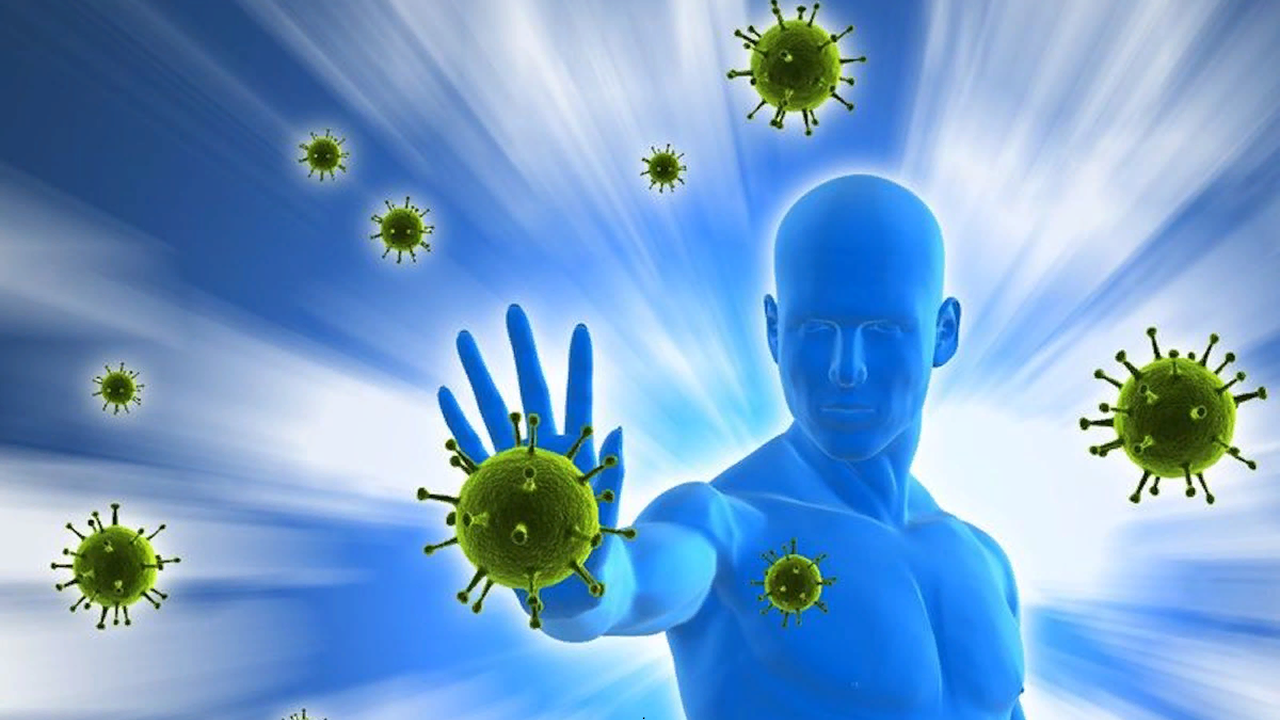 Готовые курсы приема продукции компании Сово-Сова. Сово-Сово — Омоложение и оздоровление!