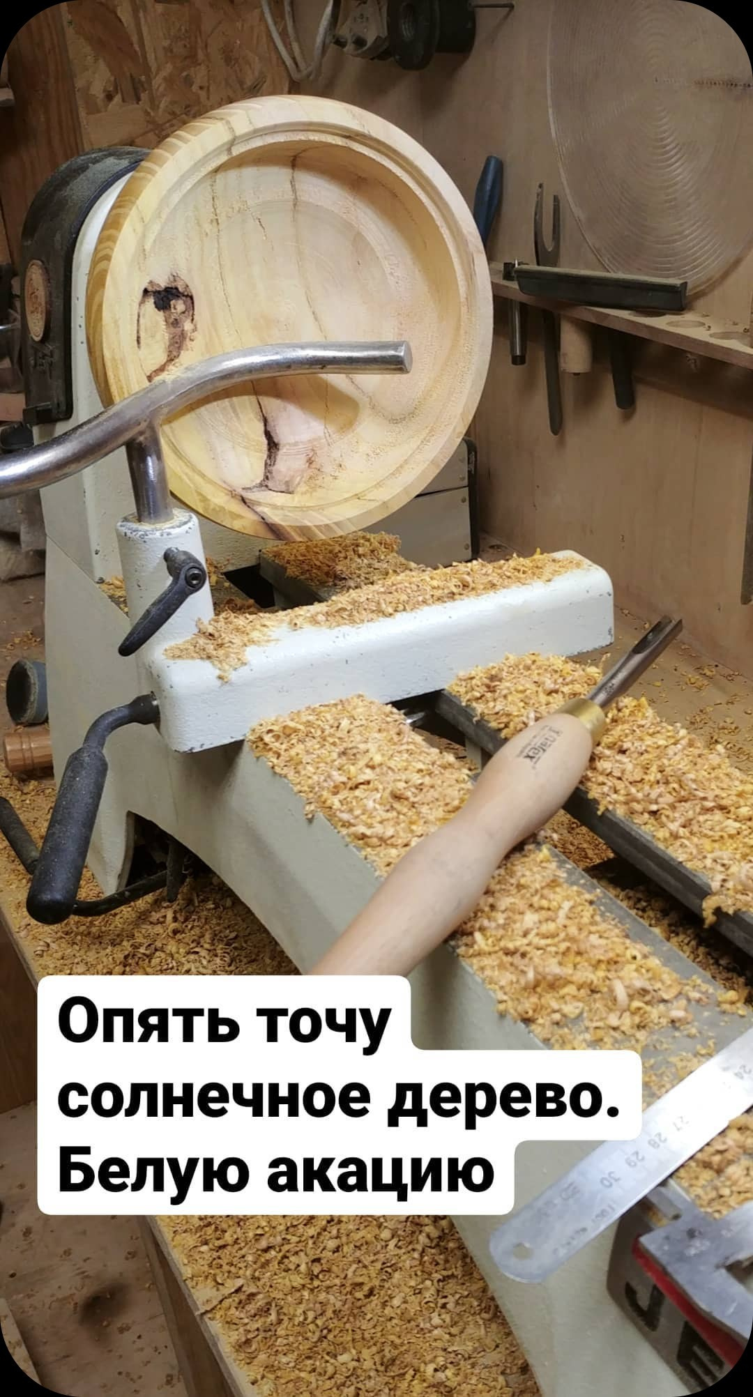 Чаши и тарелки из дерева ручной работы. Sergey Sutkovoy — Designer, photographer, traveler, woodworker