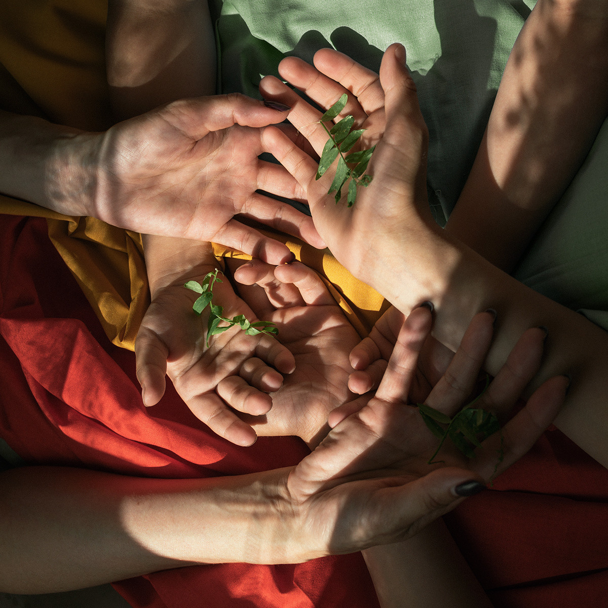 Мой топ за июнь. Фотограф Елена Хазина, Рязань