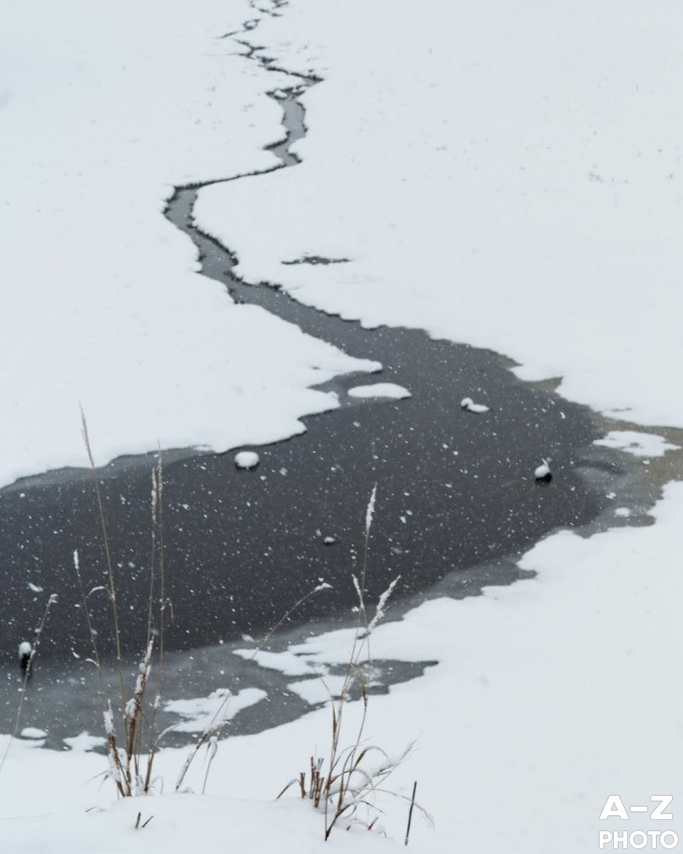 #ФОТОНЕДЕЛИ 08.12.2025. Женский семейный фотограф Тула Москва Захарова Анна