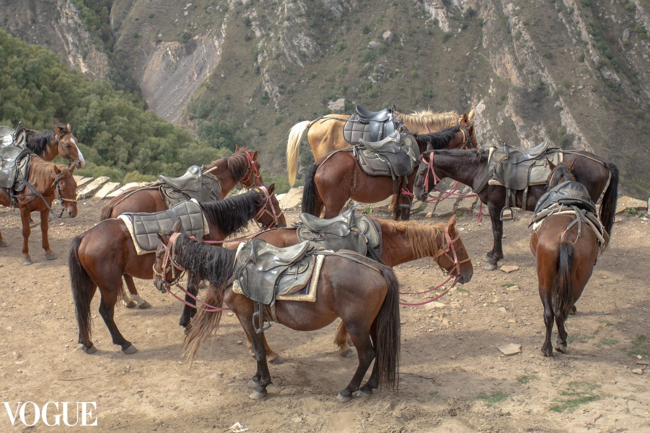 Коллекция фотографий для Vogue от Екатерины Егоровой в Москва. Семейный фотограф в Москве Екатерина Егорова