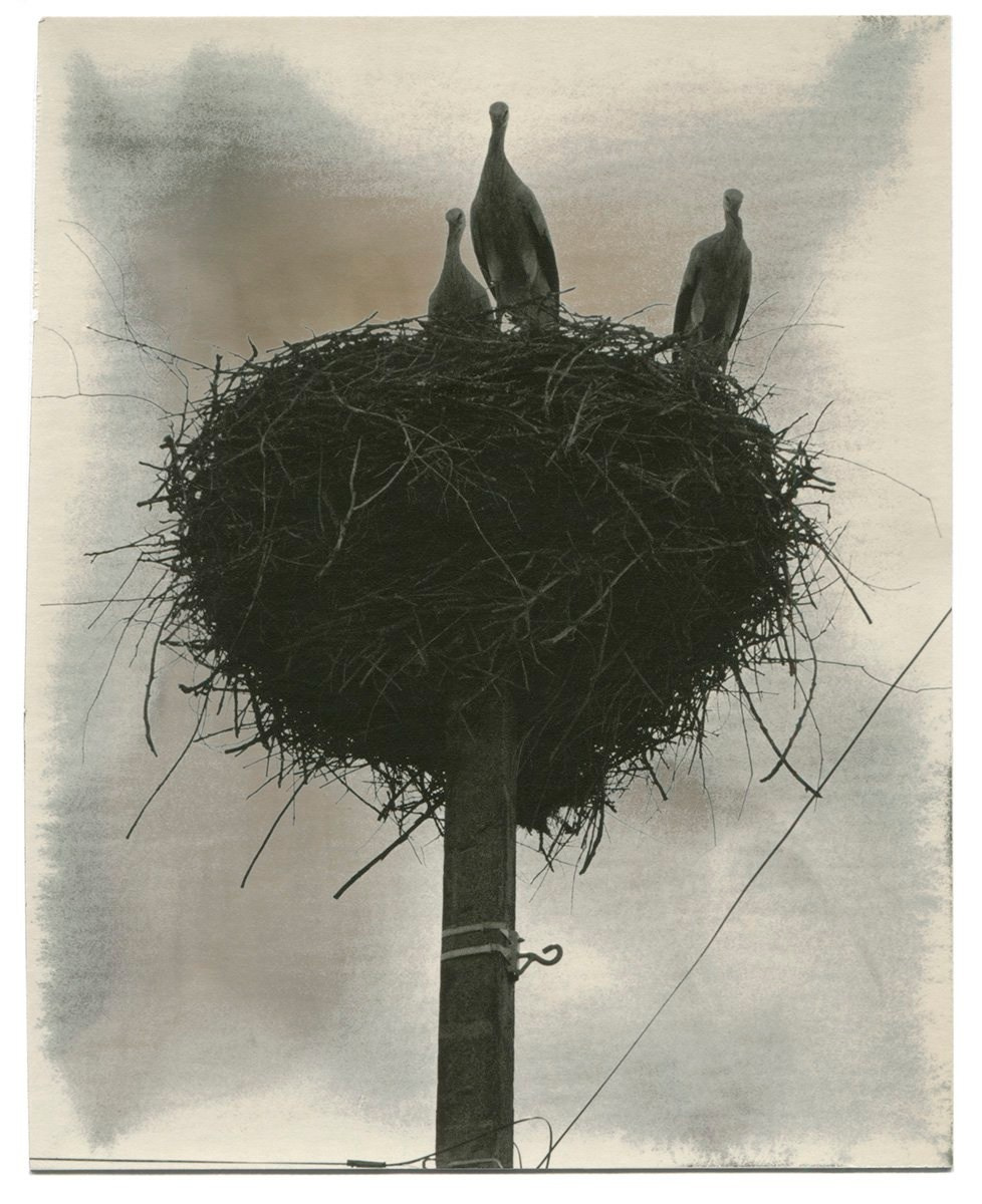 Книга Вика Бакина (Vic Bákin) «Epitome». Private image