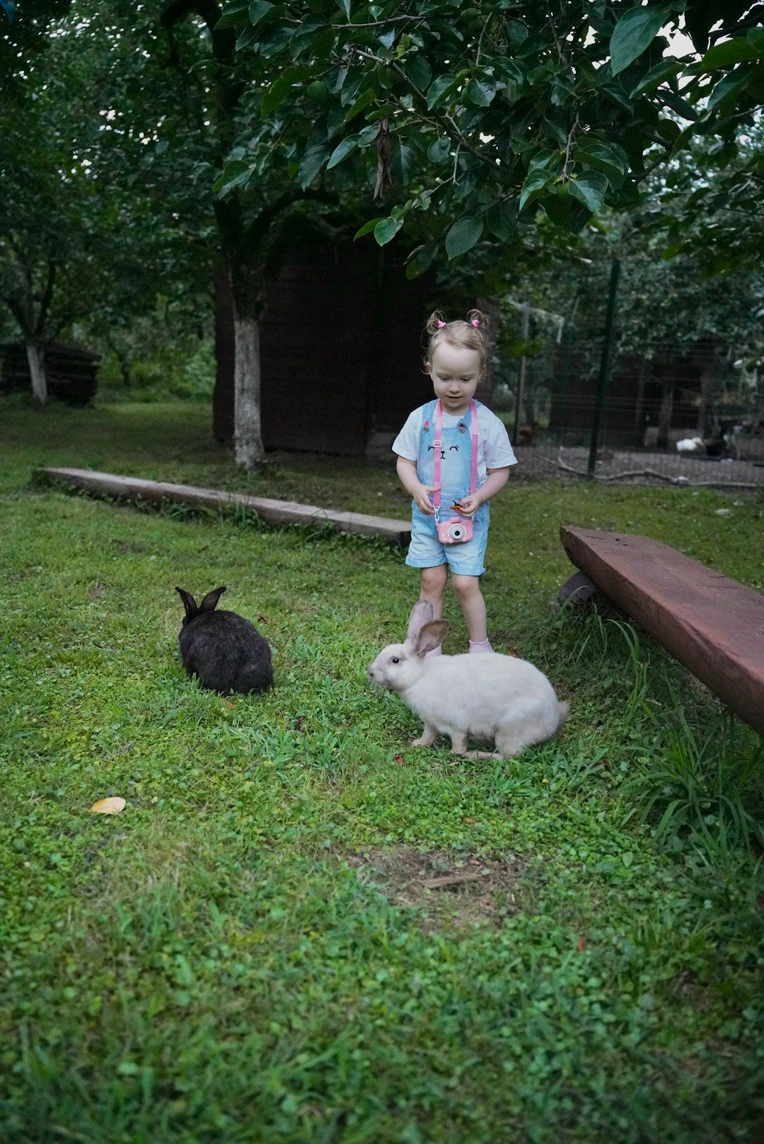 ЕВ. Надежда Войницки | Фотограф