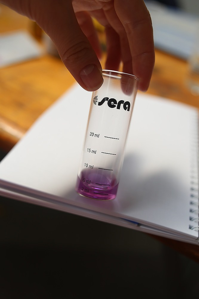 «Великие реки 2019» МЕЖДУНАРОДНЫЙ НАУЧНО-ПРОМЫШЛЕННЫЙ ФОРУМ. Детский и семейный фотограф, фотограф мероприятий Нижний Новгород