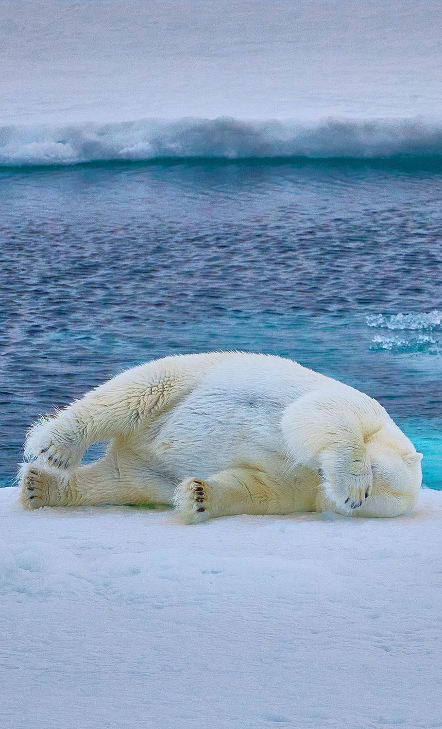Международная онлайн-фотошкола Сергея Рожнова