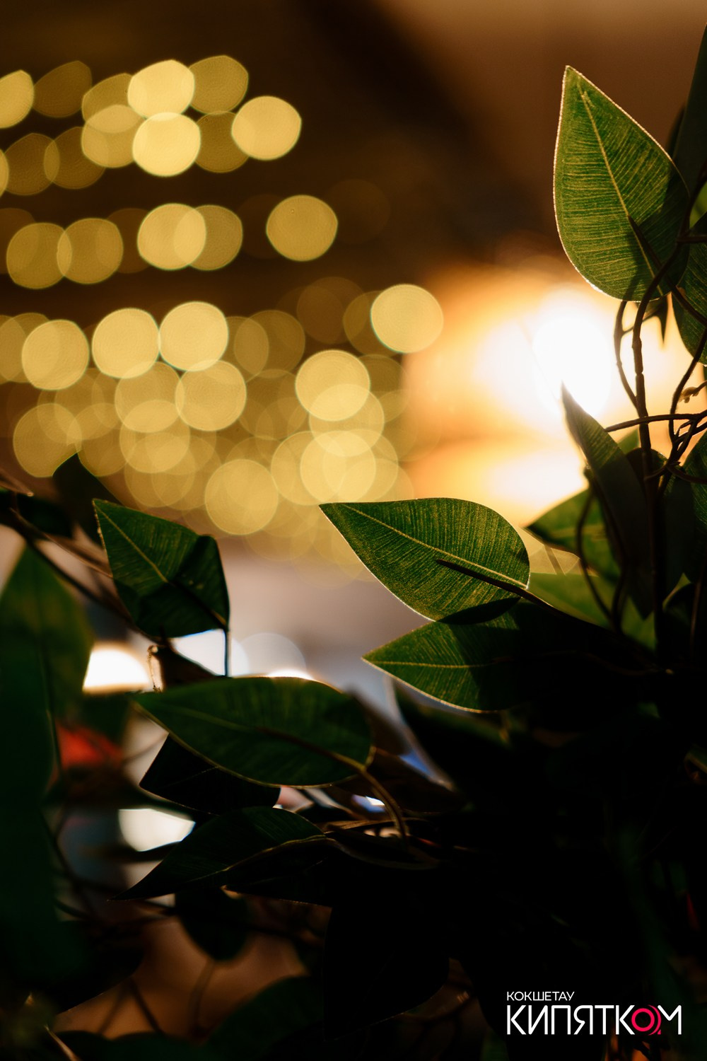 ШАШЛЫЧНЫЙ ДВОР. КИПЯТКОМ КОКШЕТАУ